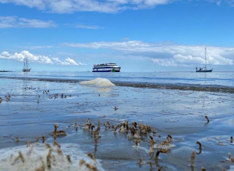 בית מלון כפרי Doniastate