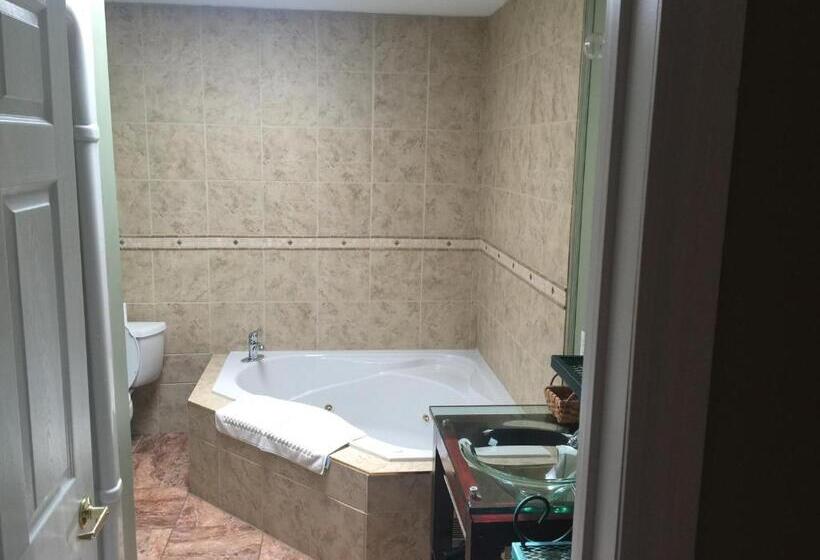 酒店 Grey Rose Suites