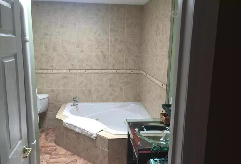 ホテル Grey Rose Suites