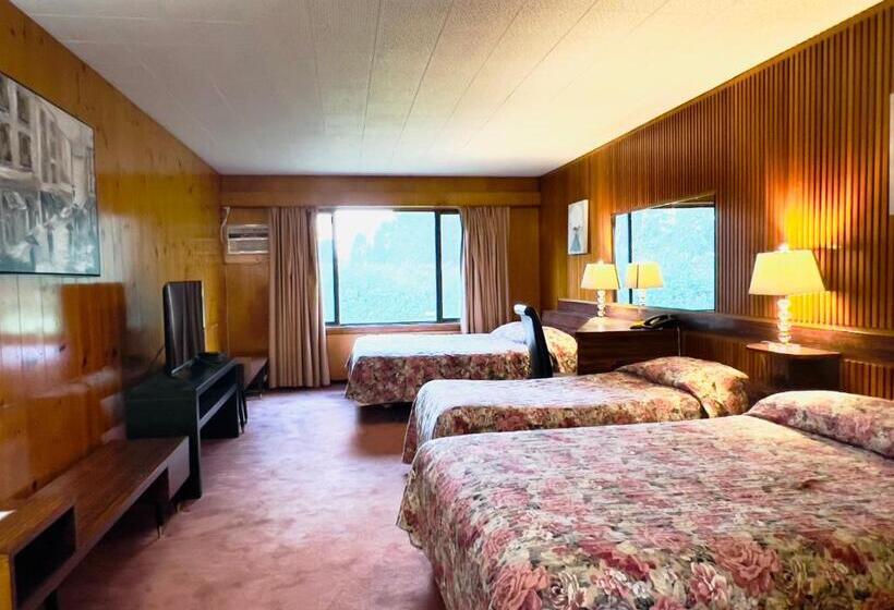 מוטל Airport Inn