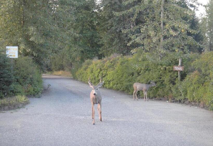 מוטל Airport Inn