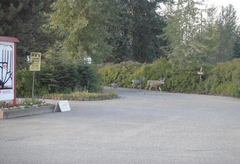 מוטל Airport Inn