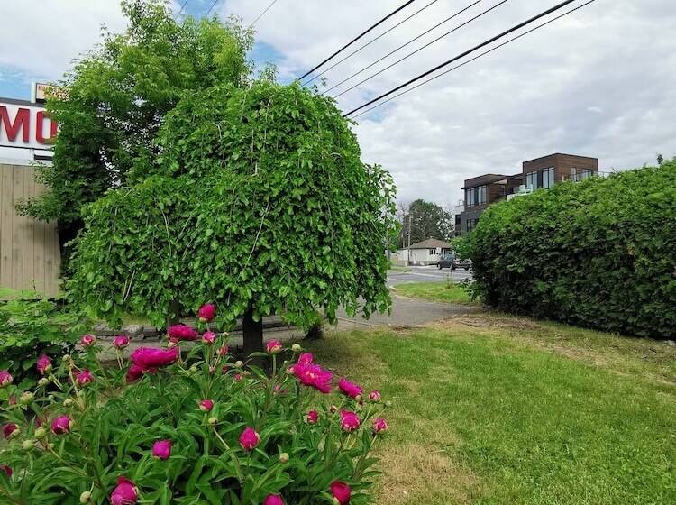 Motel Sainte Catherine