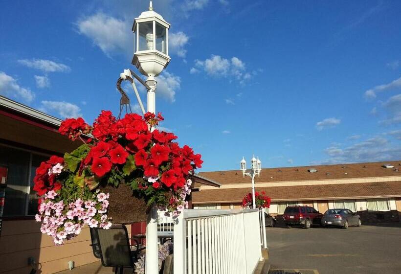 فندق على الطريق Traveller S Inn