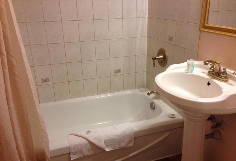 فندق على الطريق Traveller S Inn