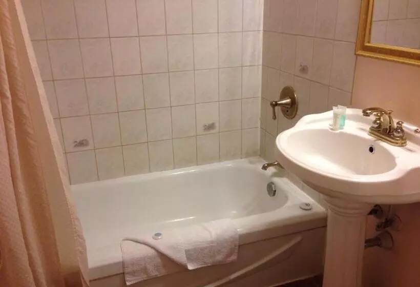 モーテル Traveller S Inn