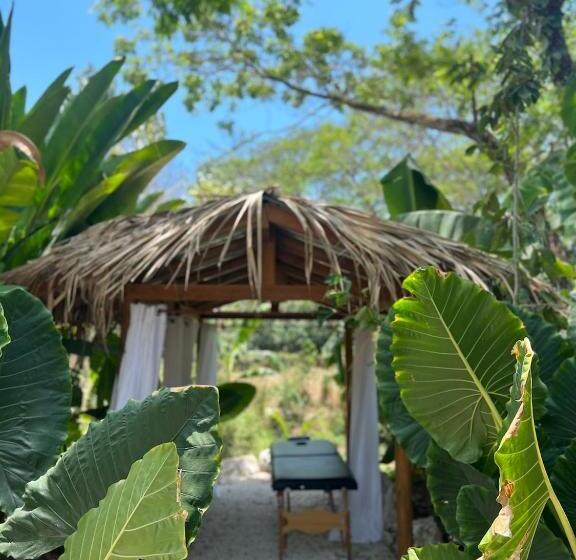 هاستل Dream Surf House Santa Teresa