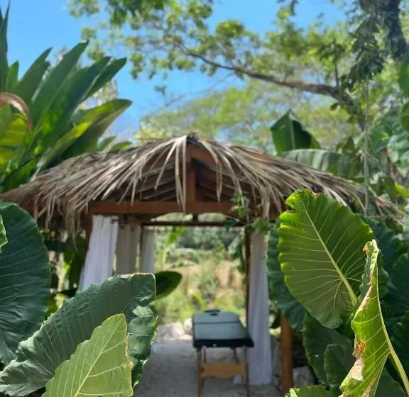 Retkeilymaja Dream Surf House Santa Teresa