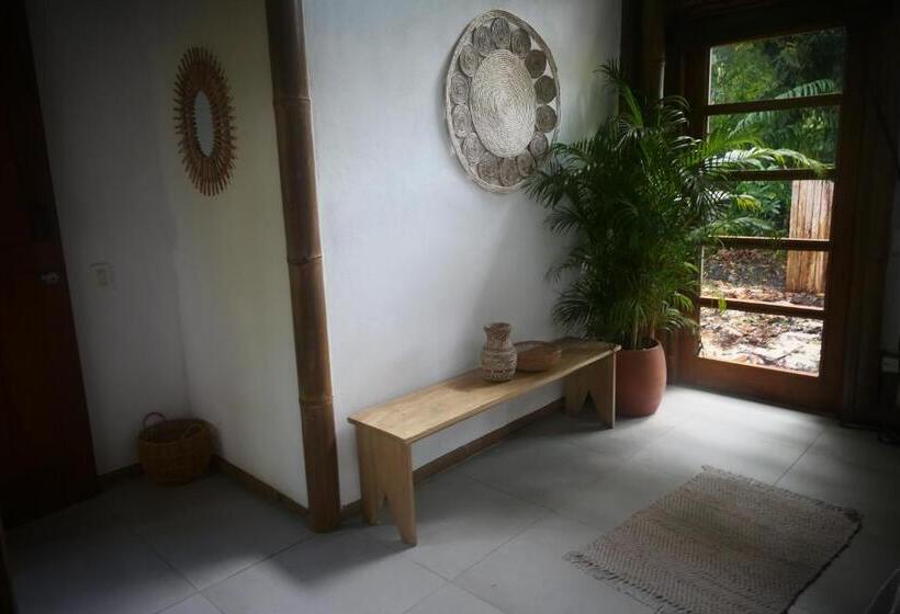 هاستل Dream Surf House Santa Teresa