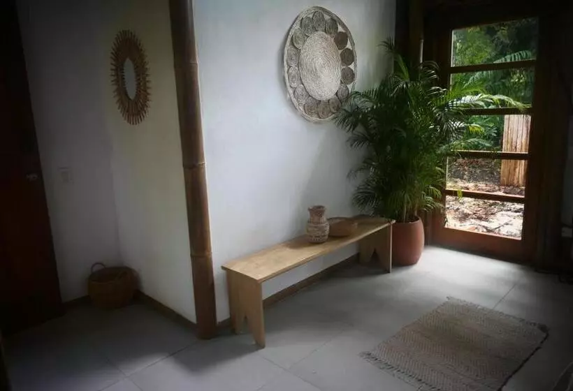 Retkeilymaja Dream Surf House Santa Teresa