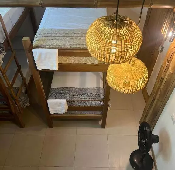 Retkeilymaja Dream Surf House Santa Teresa