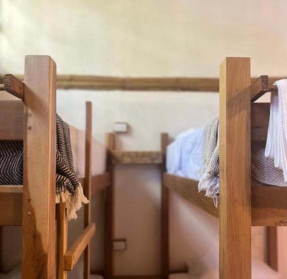 هاستل Dream Surf House Santa Teresa