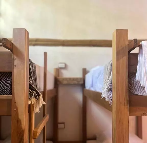 Retkeilymaja Dream Surf House Santa Teresa