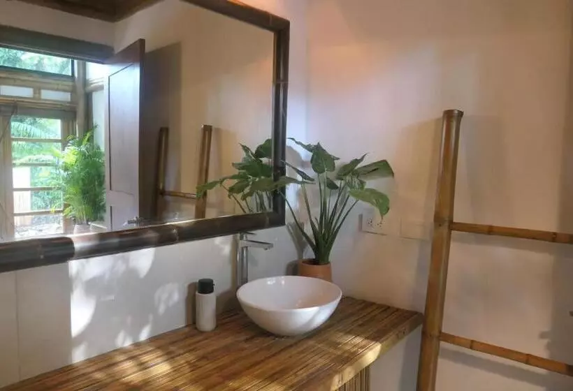 Retkeilymaja Dream Surf House Santa Teresa