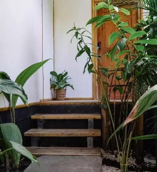 Retkeilymaja Dream Surf House Santa Teresa