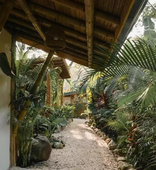 Retkeilymaja Dream Surf House Santa Teresa