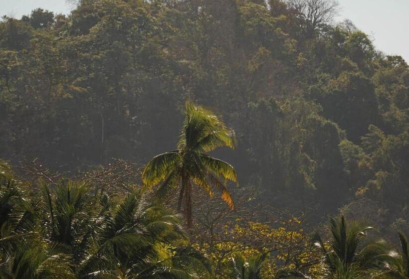 هاستل Dream Surf House Santa Teresa