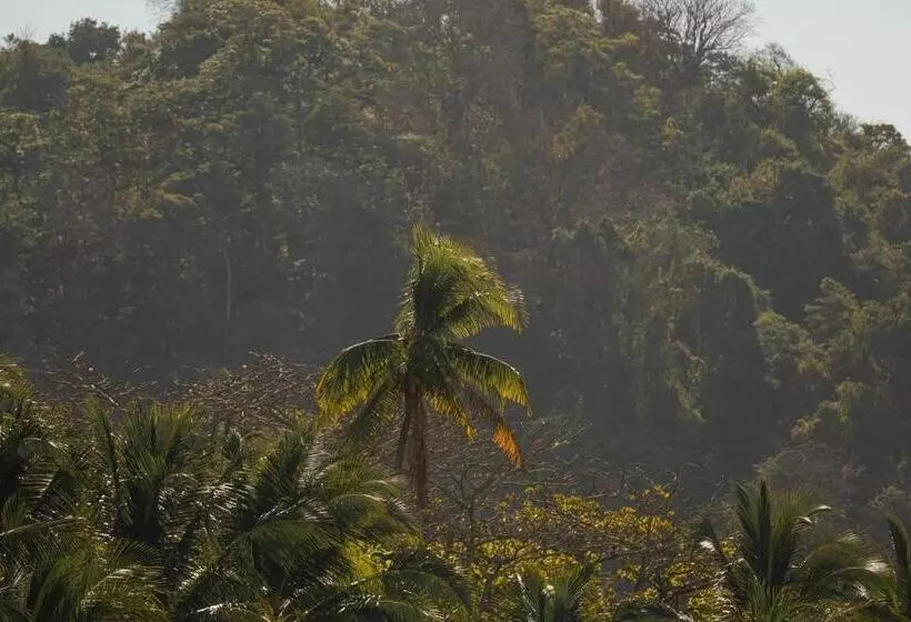 Retkeilymaja Dream Surf House Santa Teresa