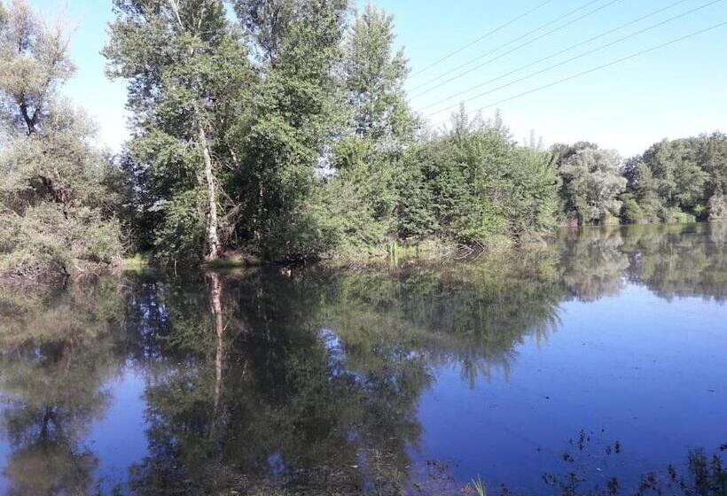 Bed and Breakfast Les Abélias