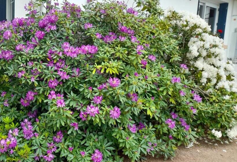 Bed and Breakfast Les Abélias