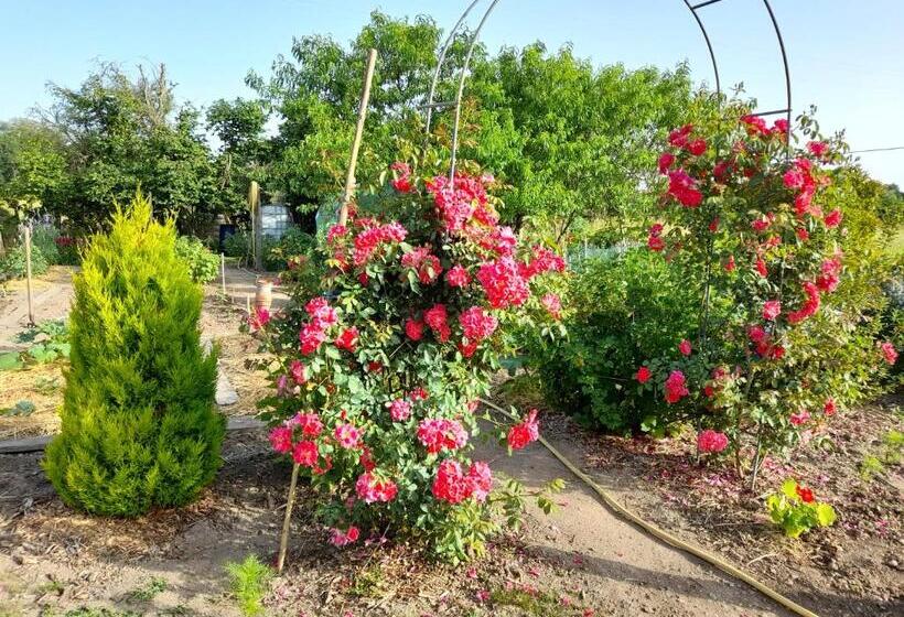 Bed and Breakfast Les Abélias