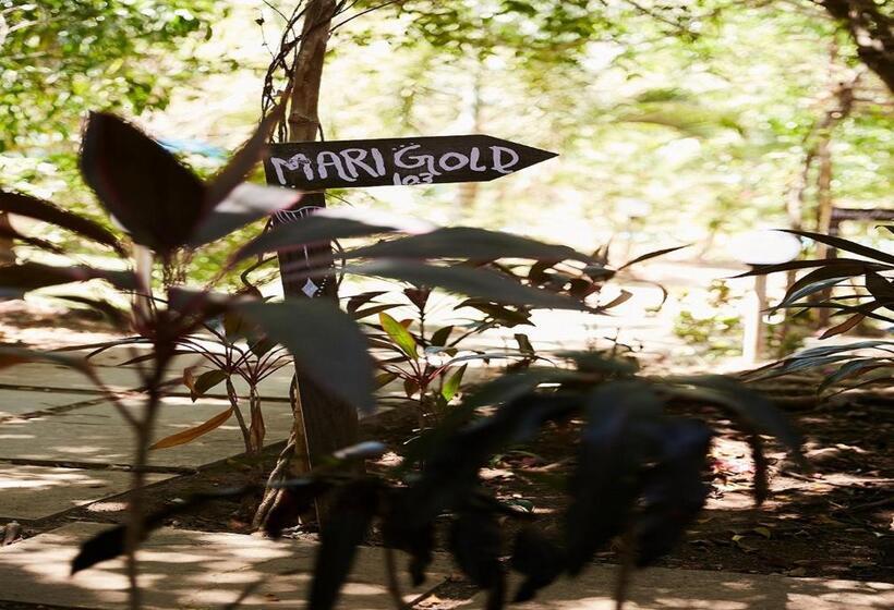 Szálloda Signum Resort Goa