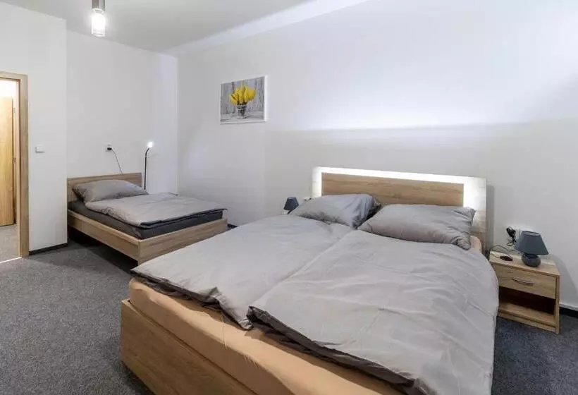 ペンション Penzion Fiesta