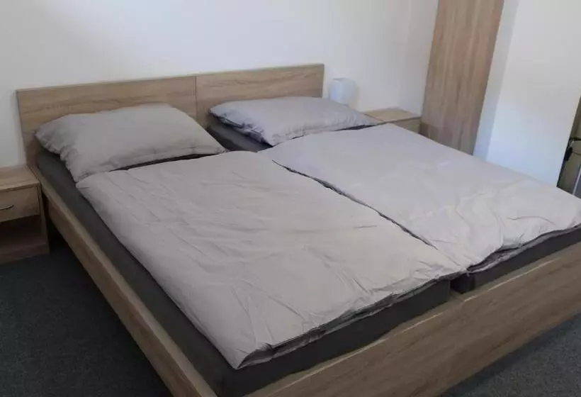 ペンション Penzion Fiesta