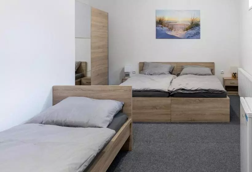 ペンション Penzion Fiesta