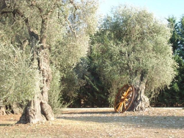 هتل La Piana Di Calena