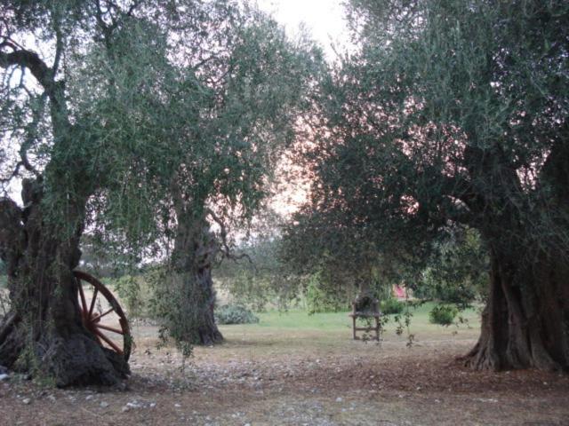 هتل La Piana Di Calena