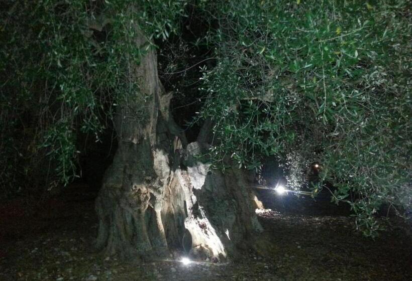 هتل La Piana Di Calena