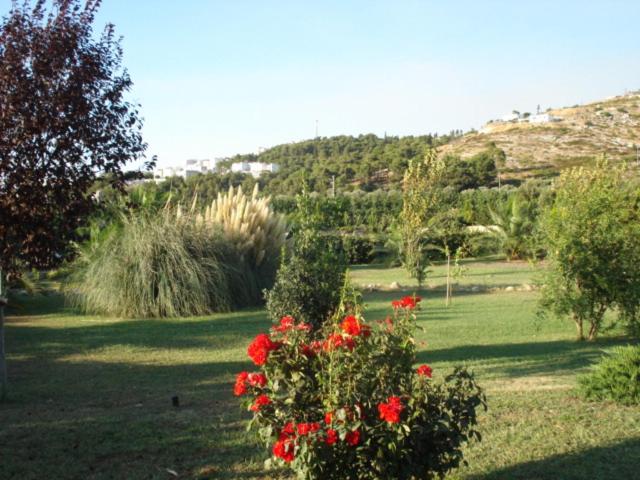 هتل La Piana Di Calena