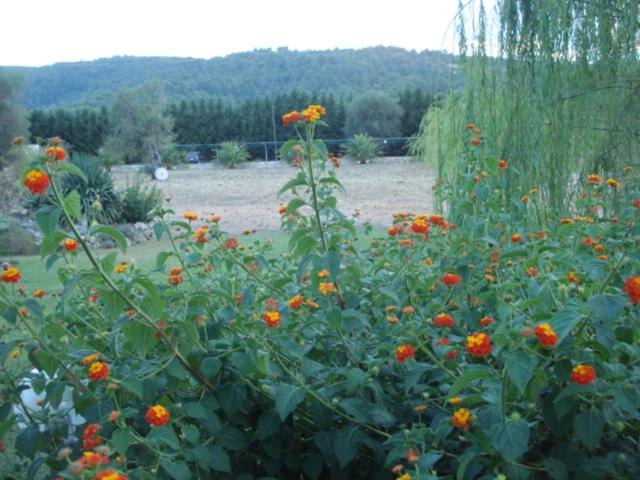 هتل La Piana Di Calena