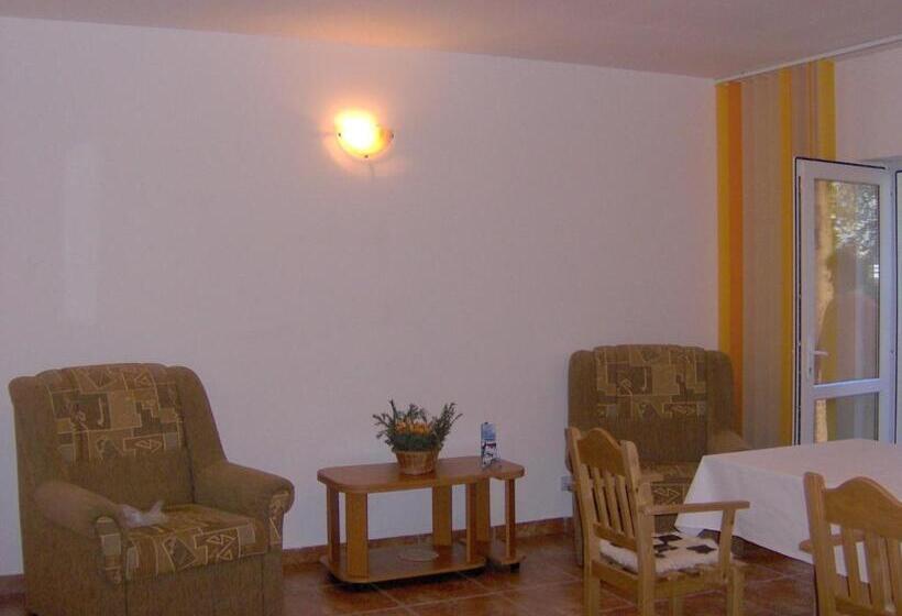 پانسیون Vila Iulia