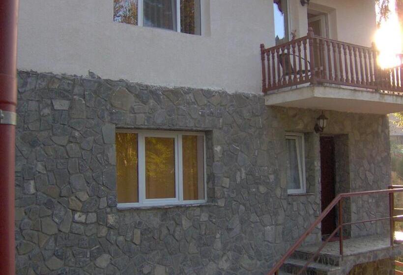 پانسیون Vila Iulia