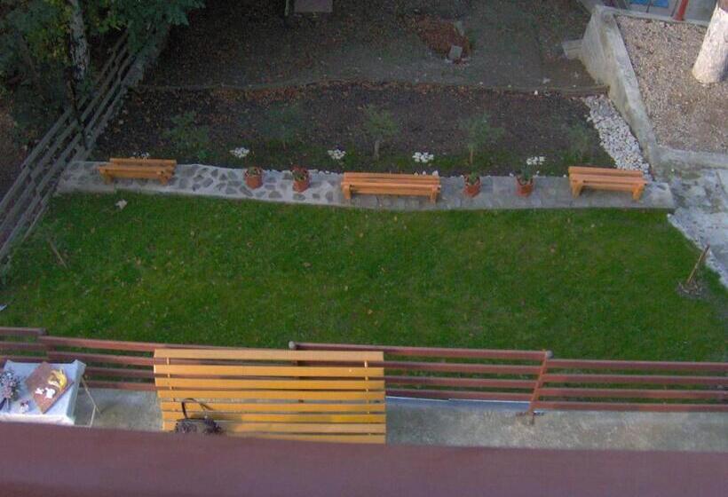 پانسیون Vila Iulia