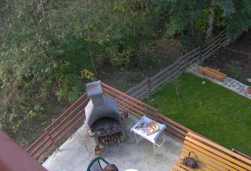 پانسیون Vila Iulia