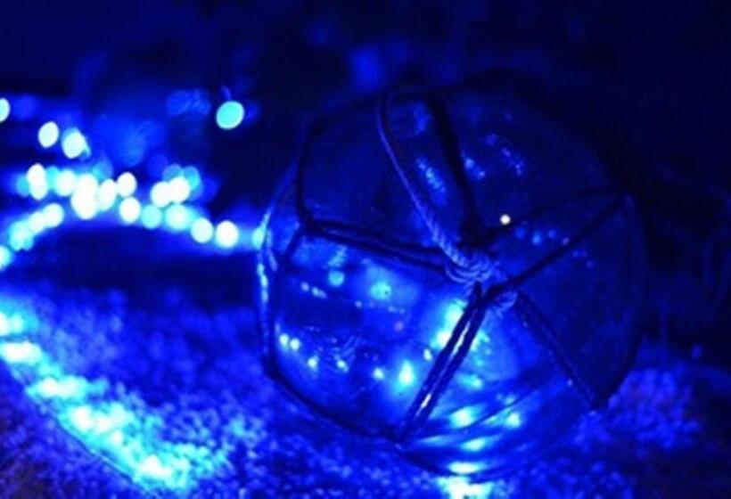 הוסטל Okinawa Minshuku Kariyushi