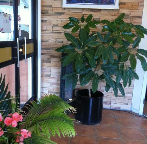 Alpine Lodge Motel & Restaurant