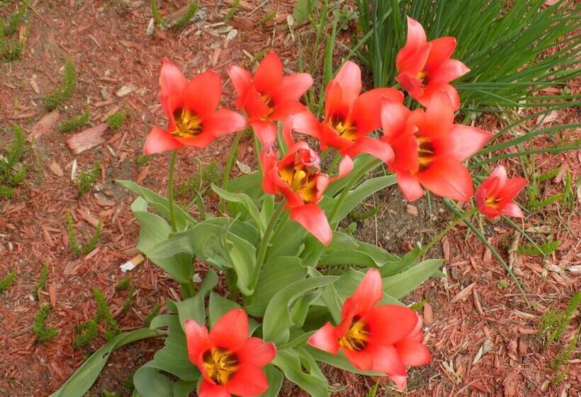 민박 Gîte Esprit Follet