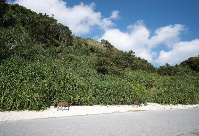 فندق Hanamuro Interislanders