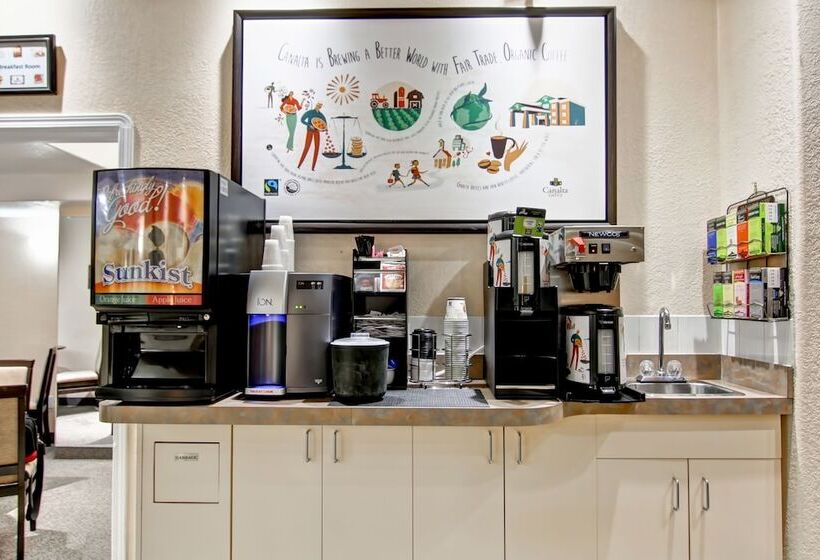 汽车旅馆 Stettler Canalta