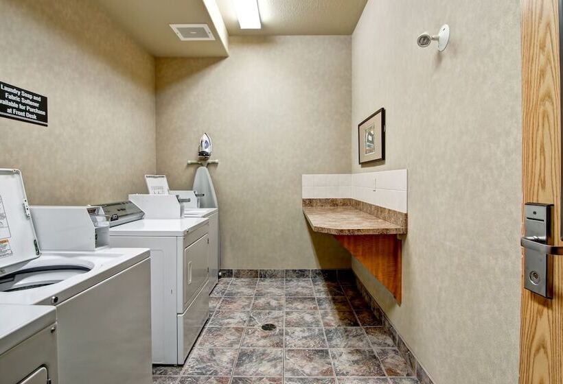 汽车旅馆 Stettler Canalta