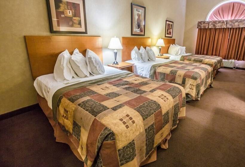 汽车旅馆 Stettler Canalta