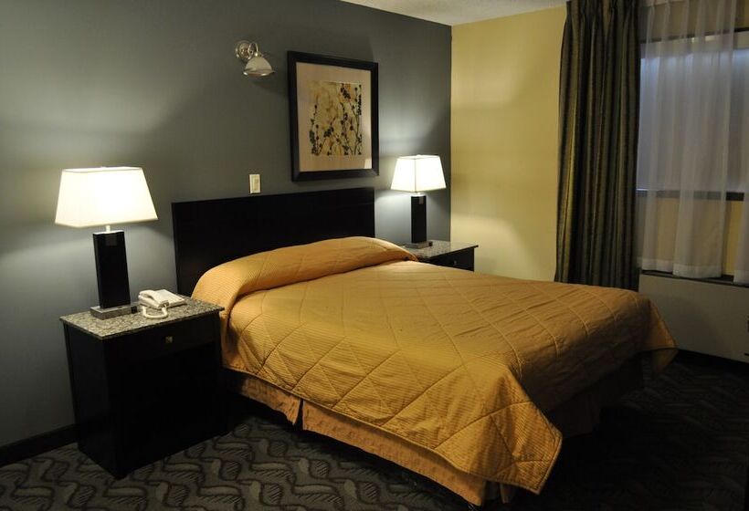 汽车旅馆 Lacombe Motor Inn