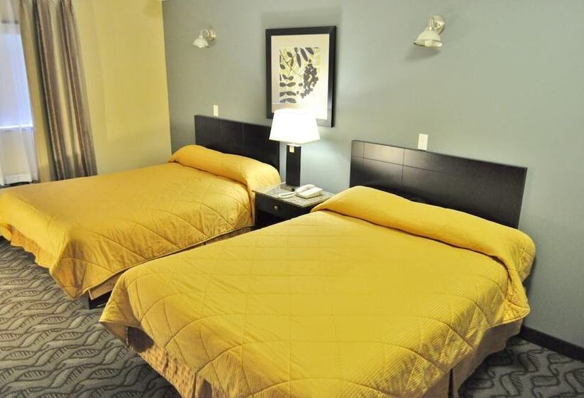 汽车旅馆 Lacombe Motor Inn