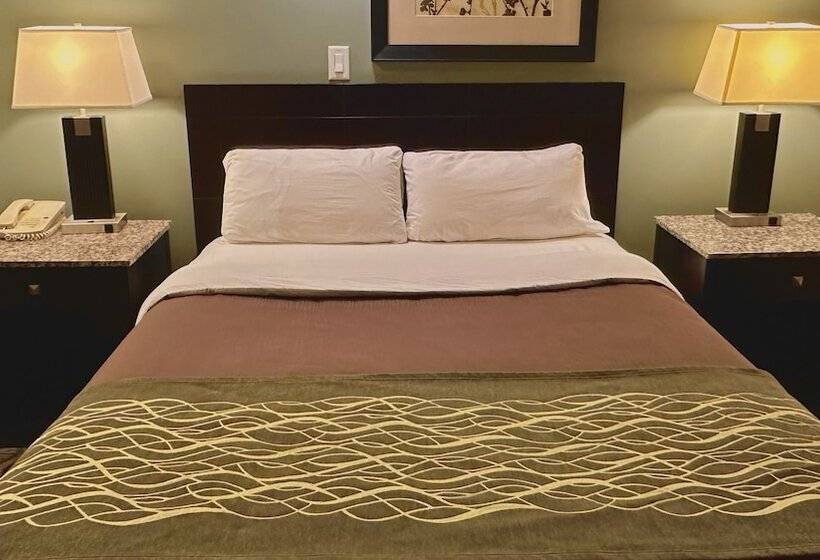 汽车旅馆 Lacombe Motor Inn