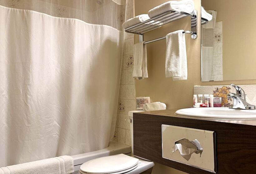 汽车旅馆 Lacombe Motor Inn