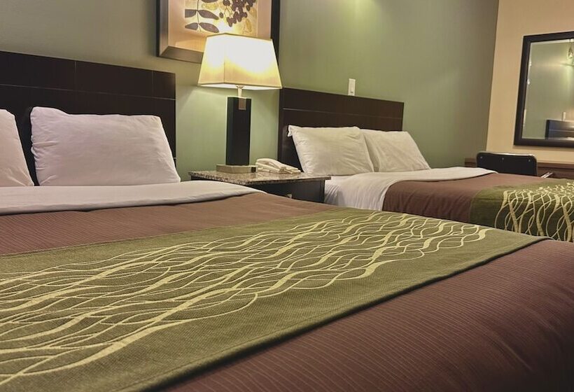 汽车旅馆 Lacombe Motor Inn